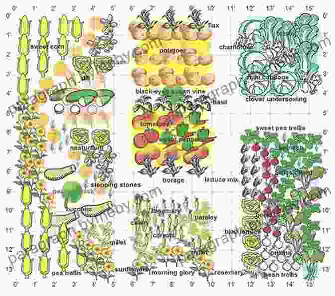 A Comprehensive Garden Plan Detailing Crop Rotation, Companion Planting, And Succession Planting Strategies The Family Garden Plan: Grow A Year S Worth Of Sustainable And Healthy Food