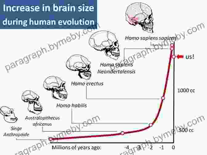 A Graphic Representation Of The Cognitive Revolution, Depicting The Expansion Of Human Brain Capacity And The Emergence Of Abstract Thought. The Flip: Epiphanies Of Mind And The Future Of Knowledge