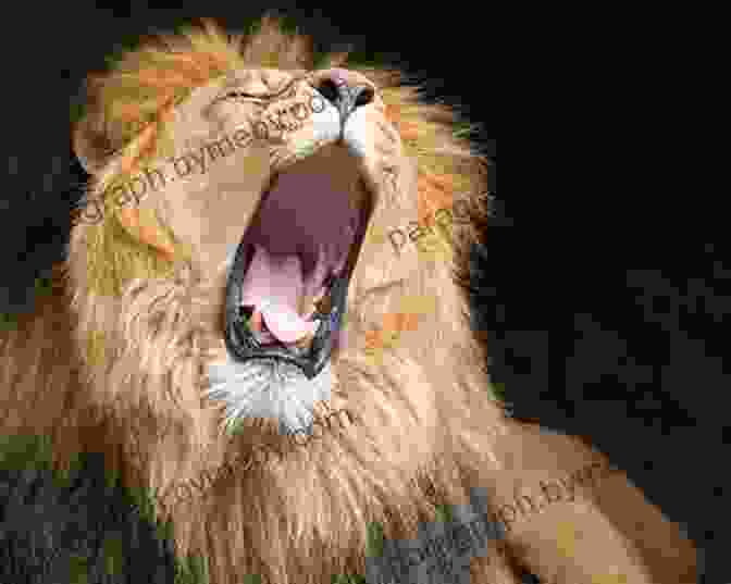 A Majestic Lion Roaring In The African Savanna National Geographic Readers: Roar 100 Facts About African Animals (L3)