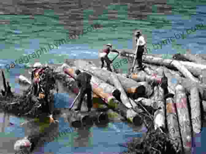 A Massive Log Drive On A Wisconsin River When The White Pine Was King: A History Of Lumberjacks Log Drives And Sawdust Cities In Wisconsin