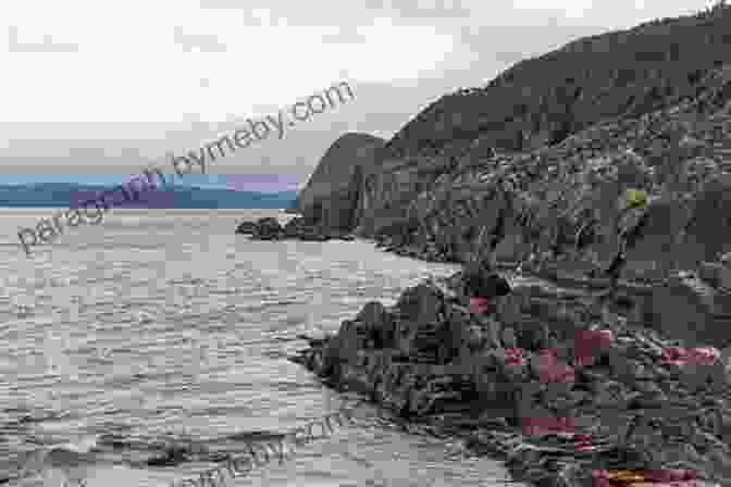 A Panoramic View Of Newfoundland's Rugged Coastline, Dotted With Fishing Boats And Outports Cod Colappse: The Rise And Fall Of Newfoundland S Saltwater Cowboys