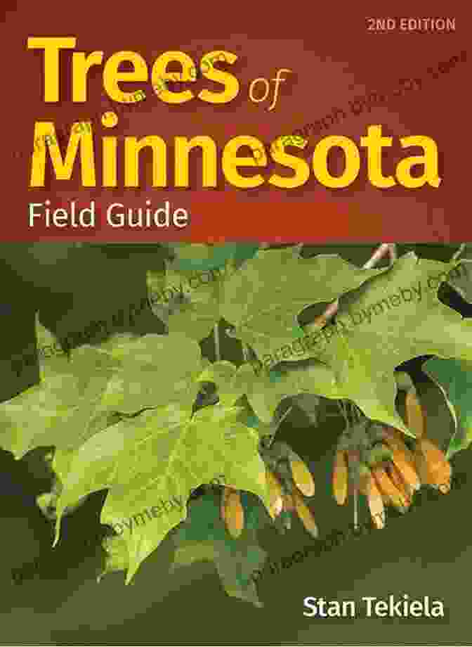 A Photo Of The Book 'Trees Of Minnesota Field Guide' With A Lush Green Tree In The Background Trees Of Minnesota Field Guide (Tree Identification Guides)