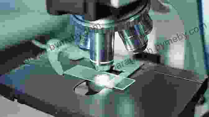 A Researcher Using A Microscope To Examine A Mineral Sample On The Trail Of Stardust: The Guide To Finding Micrometeorites: Tools Techniques And Identification