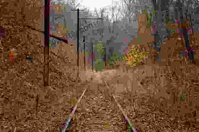 A Spooky Old Abandoned Railroad Track, Overgrown With Weeds And Surrounded By A Dark Forest Haunted Rail Trails Train Tracks: Forgotten Pathways