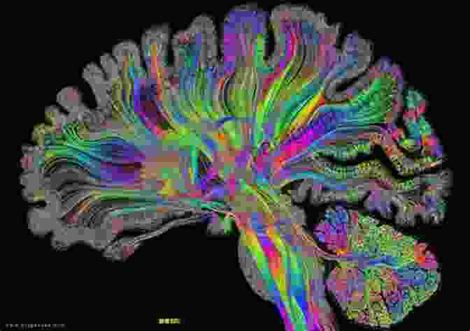 A Thought Provoking Depiction Of The Complexities Of Consciousness, Symbolized By Intertwined Neurons And Abstract Patterns. The Flip: Epiphanies Of Mind And The Future Of Knowledge