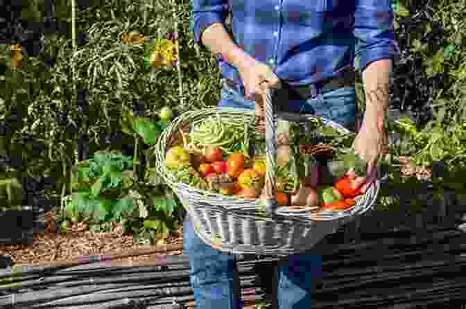 A Variety Of Fresh Produce Being Harvested From The Garden, Ready To Be Preserved For Future Consumption The Family Garden Plan: Grow A Year S Worth Of Sustainable And Healthy Food