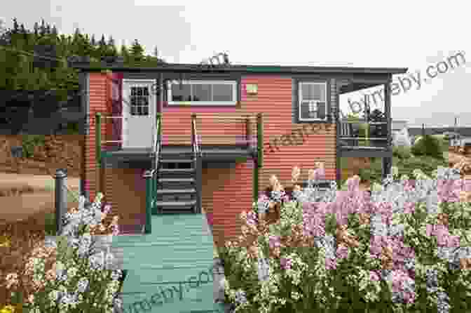 A Vibrant Outport Community, With Wooden Houses Nestled Along The Coastline Cod Colappse: The Rise And Fall Of Newfoundland S Saltwater Cowboys