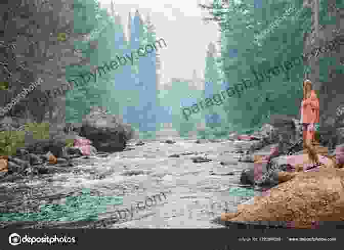 A Young Girl Exploring A National Park America S National Parks (Lonely Planet Kids)