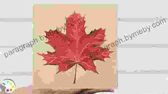 Acrylic Painting Of Realistic Maple Leaves Everyday Watercolor Flowers: A Modern Guide To Painting Blooms Leaves And Stems Step By Step