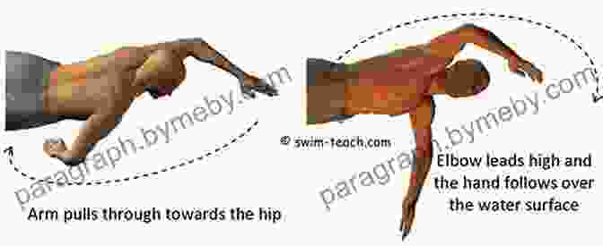 Animation Demonstrating The Propulsion Techniques For The Crawl Stroke Swimming (Science Behind Sports) Lizabeth Hardman