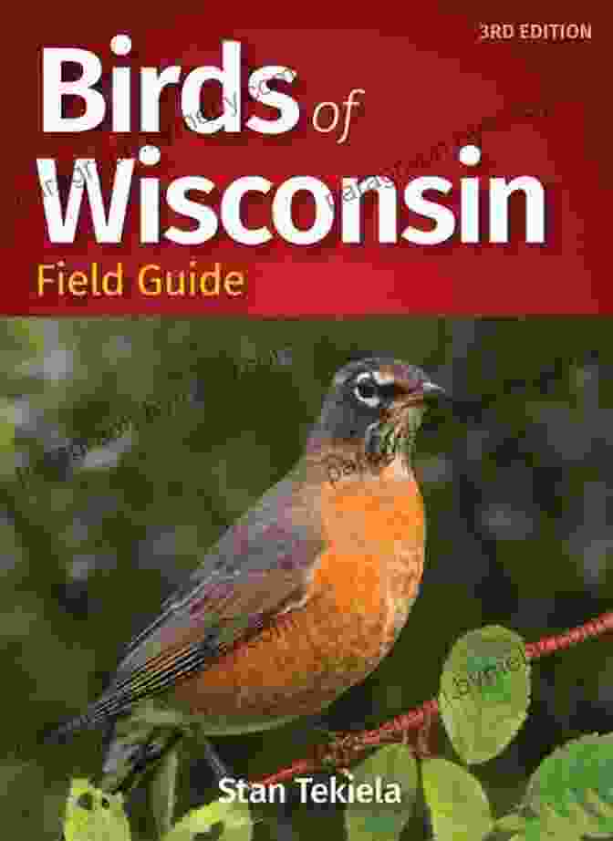 Author Of 'Birds Of Wisconsin Field Guide' Birds Of Wisconsin Field Guide (Bird Identification Guides)