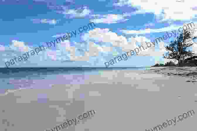 Beach In Cat Island The Island Hopping Digital Guide To The Northern Bahamas Part III Andros And New Providence