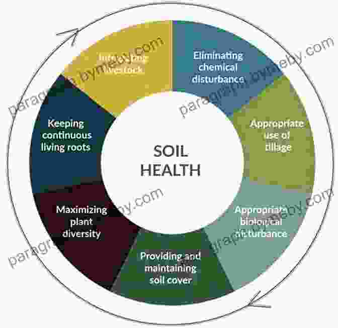 Before And After Images Showcasing The Transformative Impact Of Soil Health Practices On Crop Growth And Soil Vitality The Living Soil Handbook: The No Till Grower S Guide To Ecological Market Gardening