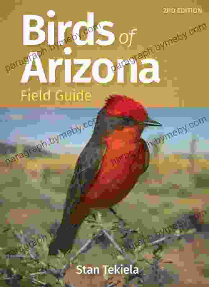 Birds Of Arizona Field Guide Cover Birds Of Arizona Field Guide (Bird Identification Guides)