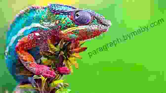 Chameleon Lizard Changing Colors The Yucky Reptile Alphabet (Jerry Pallotta S Alphabet Books)