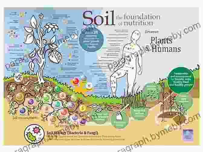 Chart Illustrating The Essential Elements In Soil And Their Roles In Plant Growth And Soil Fertility The Living Soil Handbook: The No Till Grower S Guide To Ecological Market Gardening