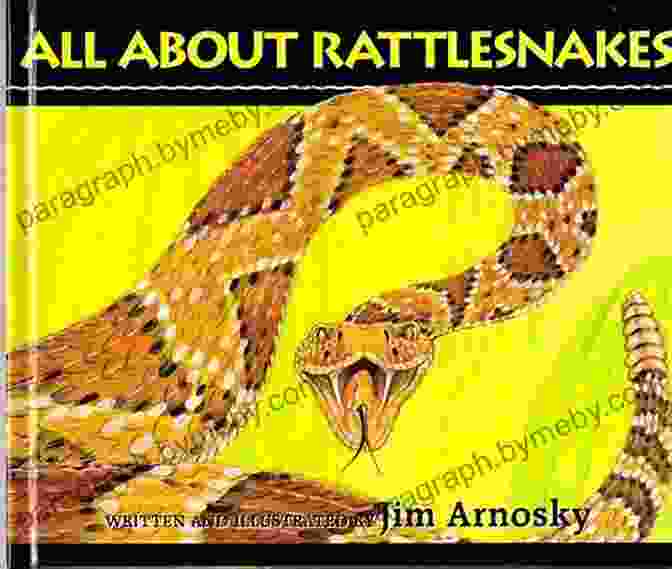 Cover Of 'All About Rattlesnakes' By Jim Arnosky, Featuring A Striking Rattlesnake In Its Natural Habitat All About Rattlesnakes Jim Arnosky