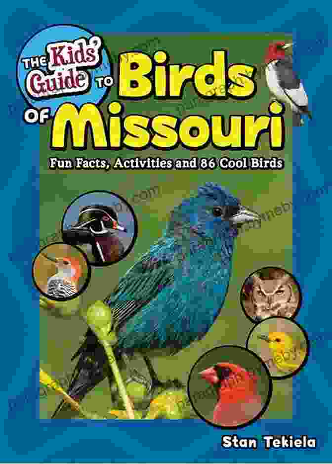 Cover Of 'Fun Facts Activities And 87 Cool Birds Birding Children Books' The Kids Guide To Birds Of Georgia: Fun Facts Activities And 87 Cool Birds (Birding Children S Books)