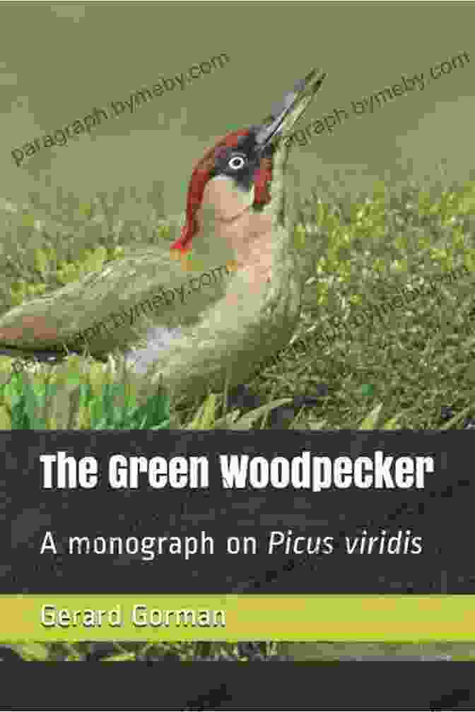 Cover Of The Green Woodpecker Book The Green Woodpecker Jessica Burkhart