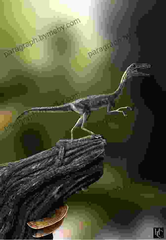 Depiction Of Compsognathus Pursuing A Small Lizard In A Prehistoric Landscape Compsognathus (21st Century Junior Library: Dinosaurs)