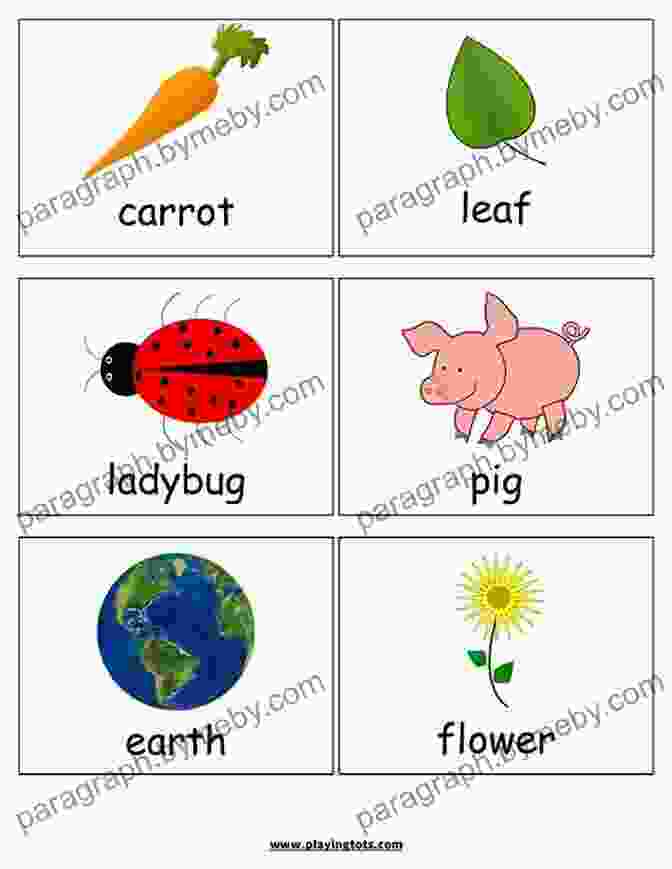 First Words Flash Card Book Vibrant Flashcards For Early Language Development First Words Flash Card Book: Teach Your Elementary Or Home Schooling Child To Read Faster (Flash Card Books: Teach Your Child To Read Faster)