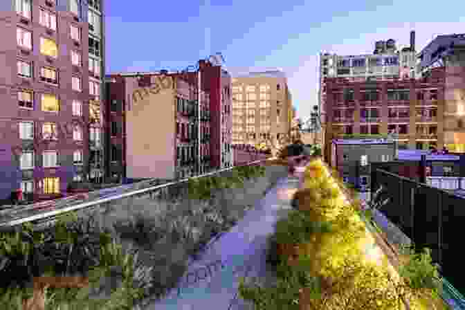 High Line Park, A Vibrant Public Space In New York City Public Space Design And Social Cohesion: An International Comparison