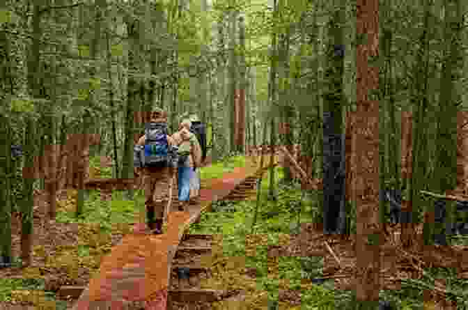 Hikers Enjoying A Scenic Trail In Land Between The Lakes Land Between The Lakes Outdoor Handbook: Your Complete Guide For Hiking Camping Fishing And Nature Study In Western Tennessee And Kentucky