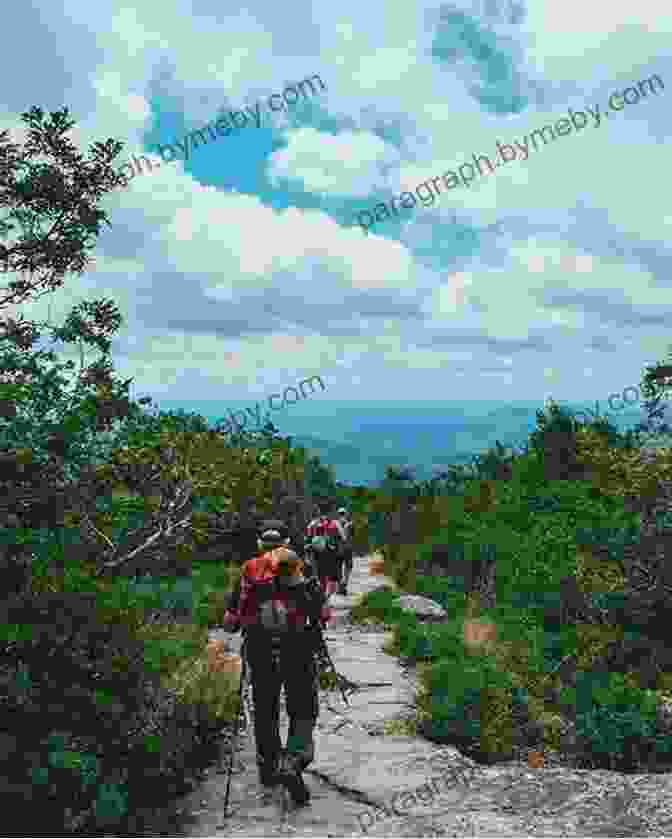 Hikers On The Appalachian Trail, Surrounded By Lush Greenery And Mountain Peaks A Walk For Sunshine: A 2 160 Mile Expedition For Charity On The Appalachian Trail