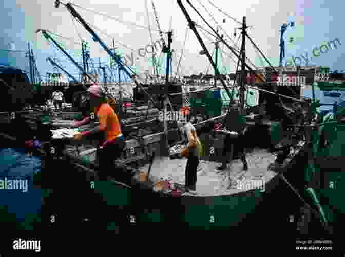 Italian Fishermen Working On Their Boats Italians Of The Monterey Peninsula (Images Of America)