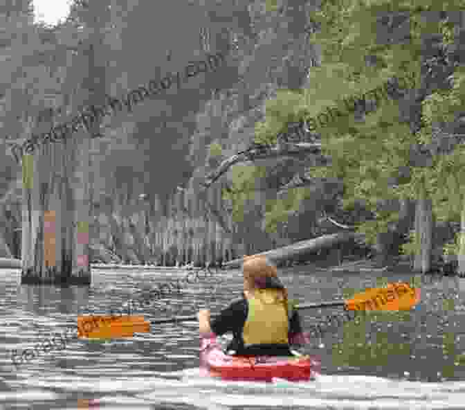 Kayakers Paddling Through A Tranquil Stream In Land Between The Lakes Land Between The Lakes Outdoor Handbook: Your Complete Guide For Hiking Camping Fishing And Nature Study In Western Tennessee And Kentucky