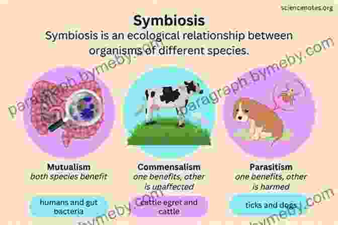 Microscopic Organisms Forming Symbiotic Relationships, Such As Bacteria Living In The Gut Of Animals, And A Lichen Composed Of Fungus And Algae. Living On The Edge: Amazing Relationships In The Natural World