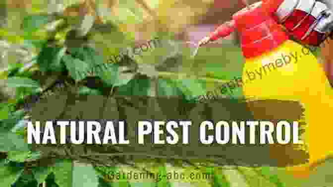 Natural And Organic Pest And Disease Control Methods To Protect Plants And Ensure A Bountiful Harvest The Family Garden Plan: Grow A Year S Worth Of Sustainable And Healthy Food