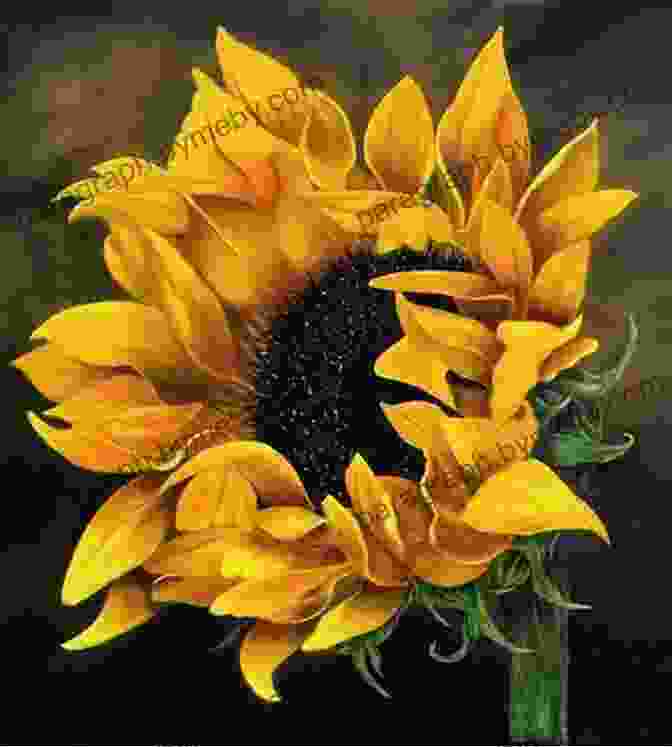 Oil Painting Of A Sunflower, Showcasing The Rich Textures, Light Effects, And Depth Achieved With This Technique. Drawing Painting Flowers: A Step By Step Guide To Creating Beautiful Floral Artworks