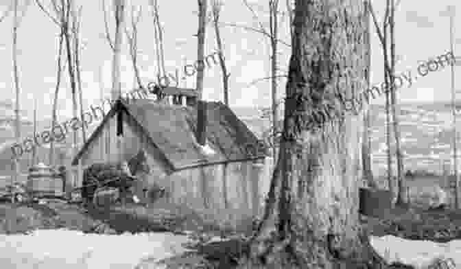 Redpath Museum Redpath: The History Of A Sugar House