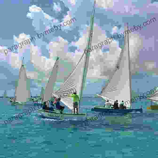 Regatta In Cat Island The Island Hopping Digital Guide To The Northern Bahamas Part III Andros And New Providence