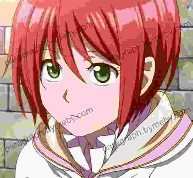 Shirayuki Character Art Snow White With The Red Hair Vol 9