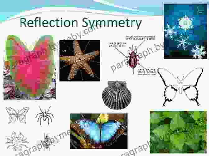 Symmetry In Nature And Physics, Showcasing Patterns And Relationships In The Standard Model Symmetry And The Standard Model: Mathematics And Particle Physics