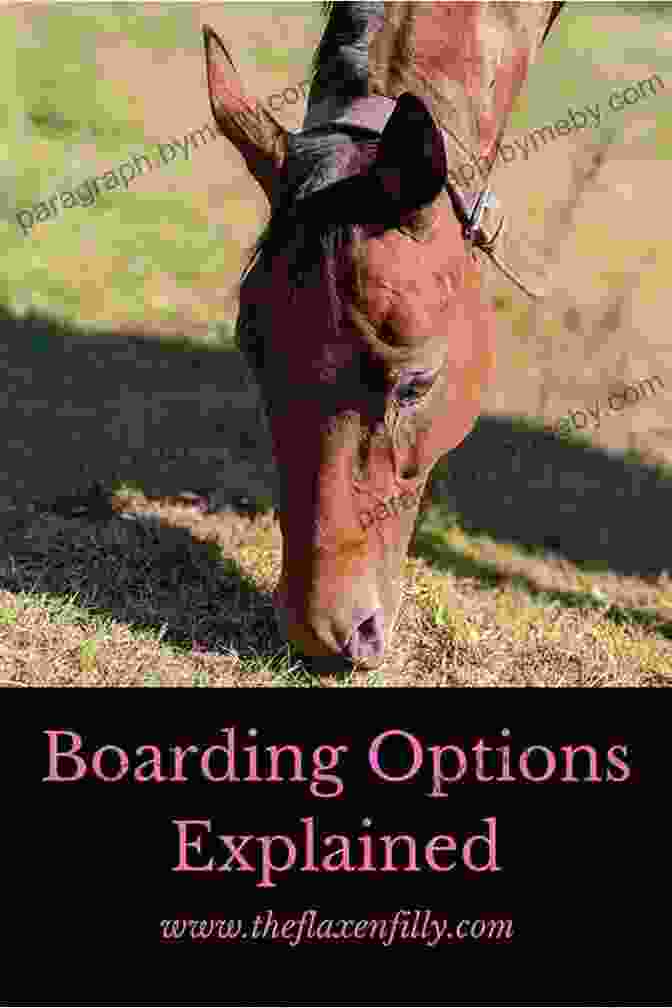 The Comprehensive Guide To Horse Boarding: Effective Barn Management A Step By Step Guide To Starting And Running A Successful Horse Boarding Business: The Comprehensive Of Horse Boarding Effective Barn Management