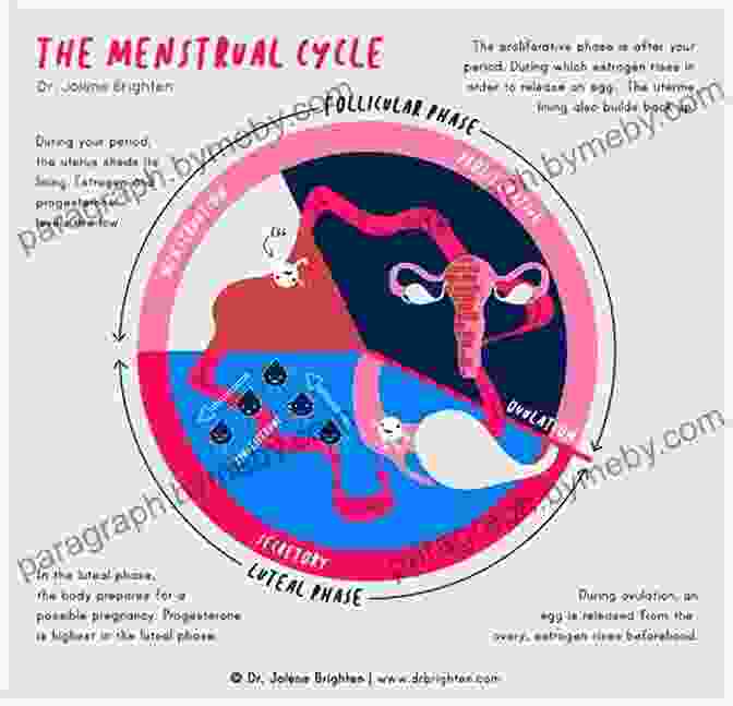 Understanding Your Fertility Cycle The Impatient Woman S Guide To Getting Pregnant