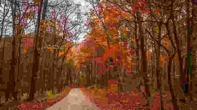 Vibrant Fall Foliage In Indiana Short Indiana Road Trips: Tourism Guide For Short Indiana Day Trips (Exploring Indiana S Highways And Back Roads 5)