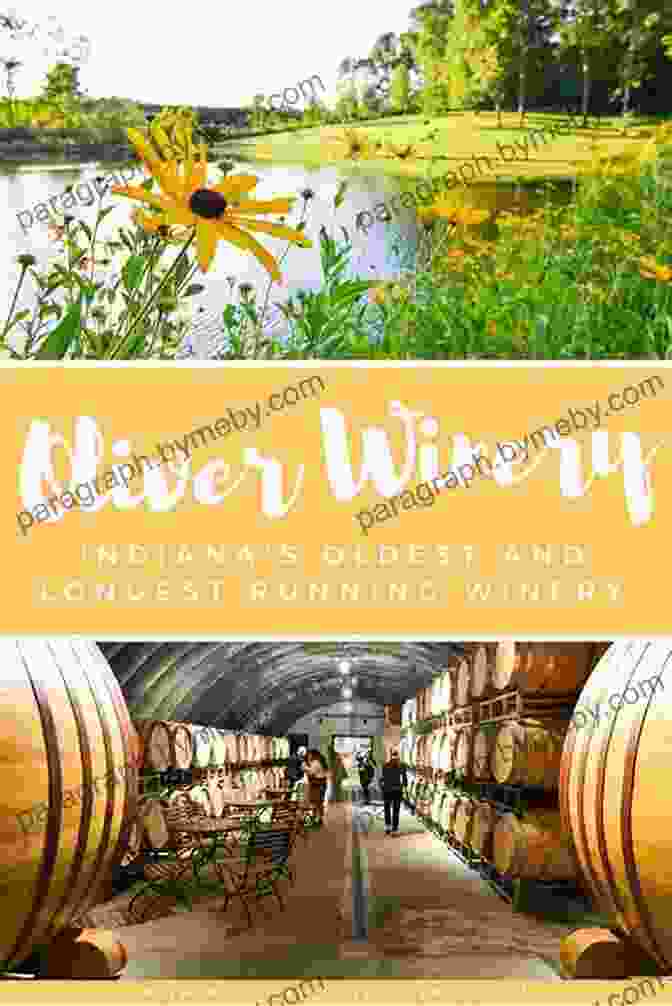 Vineyard And Winery In Indiana Short Indiana Road Trips: Tourism Guide For Short Indiana Day Trips (Exploring Indiana S Highways And Back Roads 5)