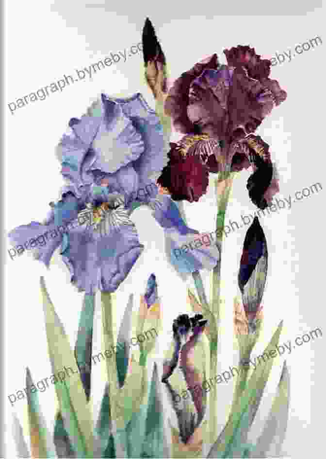 Watercolor Painting Of An Iris, Capturing The Soft, Delicate Petals And Vibrant Hues. Drawing Painting Flowers: A Step By Step Guide To Creating Beautiful Floral Artworks