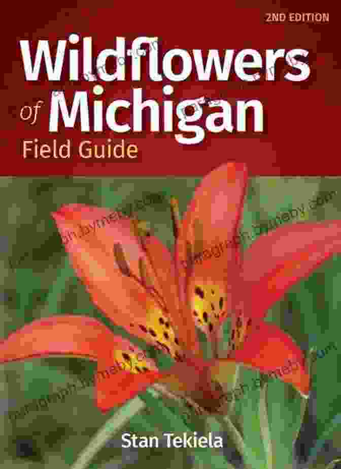 Wildflowers Of Michigan Field Guide Cover Image Featuring A Vibrant Array Of Wildflowers On A Meadow Background Wildflowers Of Michigan Field Guide (Wildflower Identification Guides)