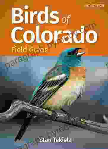 Birds Of Colorado Field Guide (Bird Identification Guides)