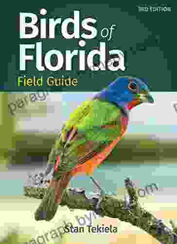 Birds Of Florida Field Guide (Bird Identification Guides)