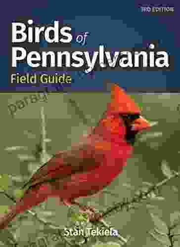 Birds of Pennsylvania Field Guide (Bird Identification Guides)