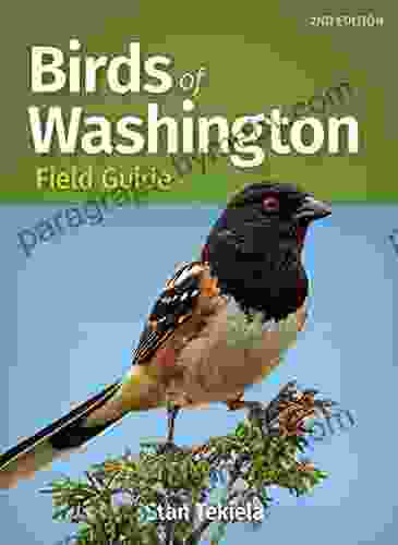 Birds Of Washington Field Guide (Bird Identification Guides)