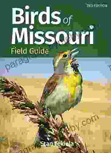 Birds of Missouri Field Guide (Bird Identification Guides)