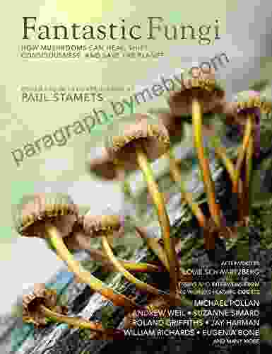 Fantastic Fungi: Expanding Consciousness Alternative Healing Environmental Impact // Official Of Smash Hit Documentary