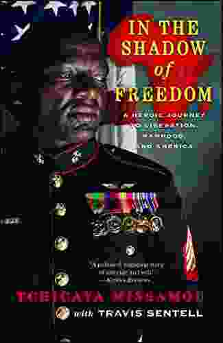 In the Shadow of Freedom: A Heroic Journey to Liberation Manhood and America